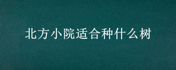 北方小院适合种什么树 北方小院适合栽种的树种