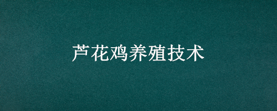 芦花鸡养殖技术（芦花鸡养殖技术要点）