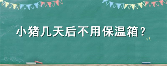 小猪几天后不用保温箱 小猪放保温箱里大约多长时间喂一次