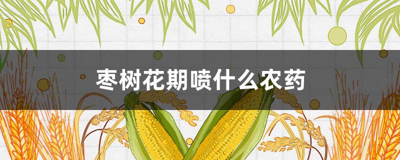 枣树花期喷什么农药（枣树开花期能不能喷农药）