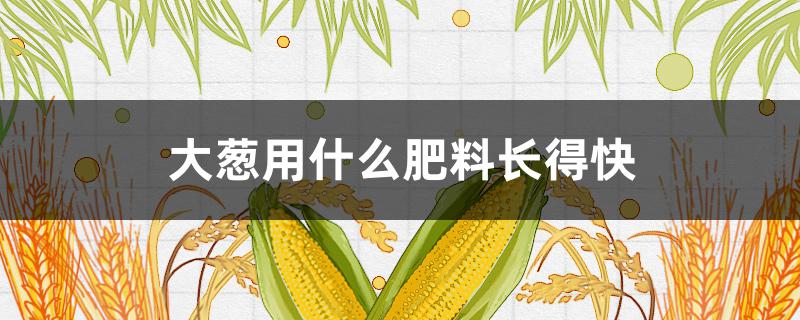 大葱用什么肥料长得快（大葱用什么肥料最好）