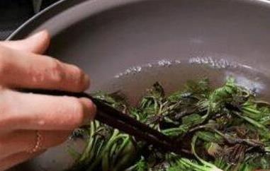 老香椿叶泡水喝的功效与作用 香椿叶的功效与作用 香椿叶泡水喝的功效