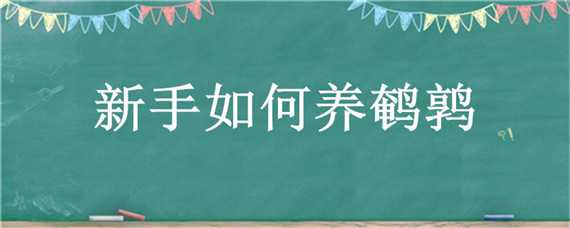 新手如何养鹌鹑 怎样饲养鹌鹑