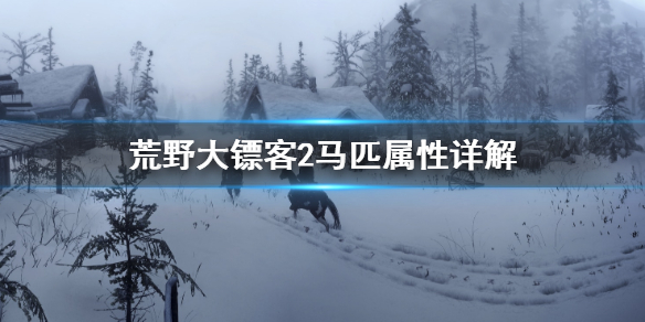 荒野大镖客2马匹属性怎么看（荒野大镖客2马匹属性怎么看）