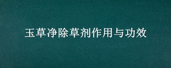 玉草净除草剂作用与功效（玉草净除草剂怎么使用）