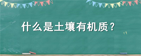 什么是土壤有机质（什么是土壤有机质的矿质化作用）