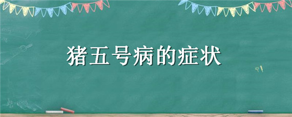 猪五号病的症状 猪五号病的症状视频