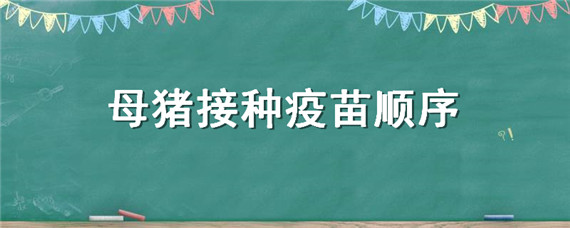 母猪接种疫苗顺序（母猪接种疫苗流程）