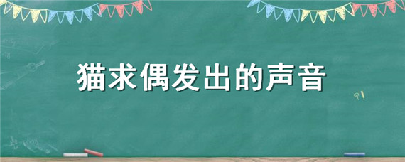 猫求偶发出的声音（猫咪发出哇偶的声音）