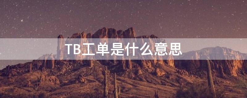 TB工单是什么意思