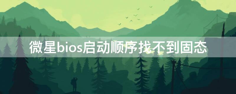 微星bios启动顺序找不到固态