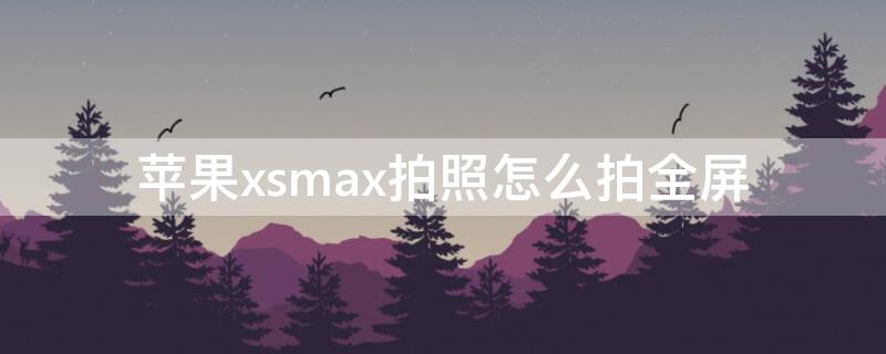 iPhonexsmax拍照怎么拍全屏（xsmax怎么拍全屏照片）