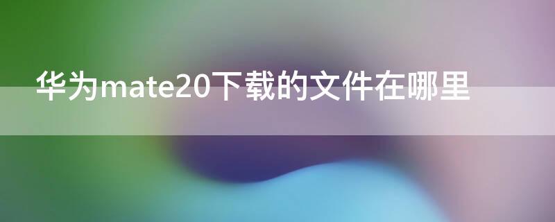 华为mate20下载的文件在哪里（华为mate20下载文件在哪里找）