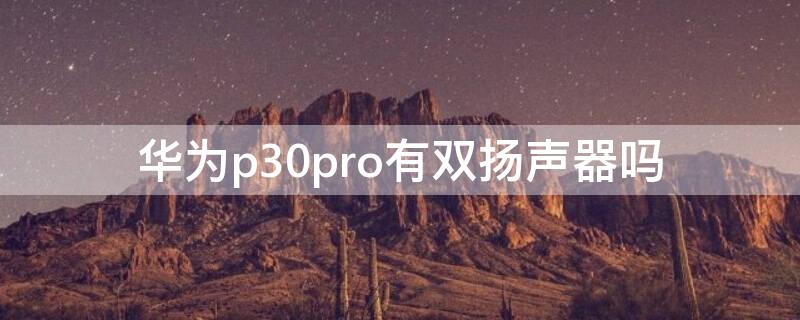 华为p30pro有双扬声器吗（p30pro是单扬声器吗）