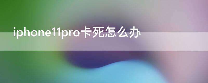 iPhone11pro卡死怎么办 iphone12 pro 卡死