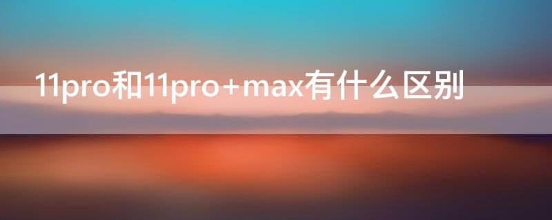 11pro和11pro（11pro和11promax）