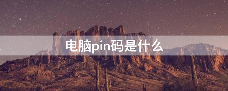 电脑pin码是什么（电脑pin码是什么在哪里看）