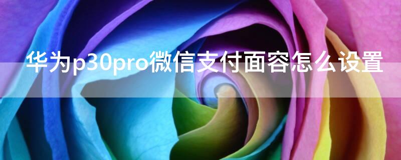 华为p30pro微信支付面容怎么设置 华为p30pro微信支付面容怎么设置的