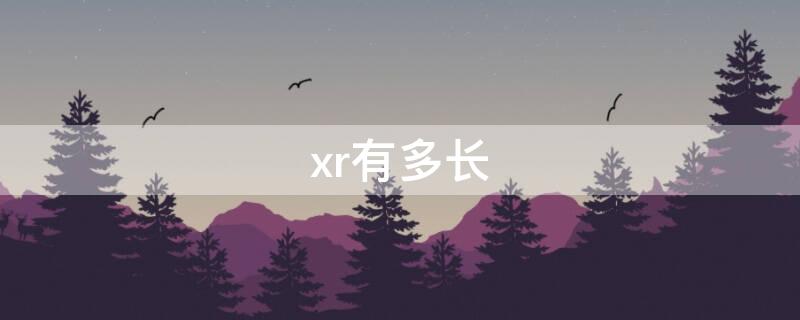 xr有多长（xr有多长多少厘米）