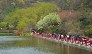 信阳市著名景点介绍 信阳市著名旅游景点