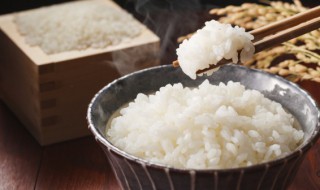 电饭煲煮饭怎么使用 如何使用电饭煲