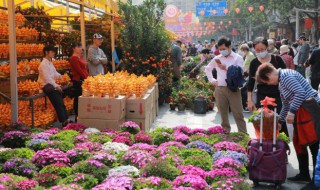 玉兰花是哪个城市的市花 玉兰花是什么城市的市花