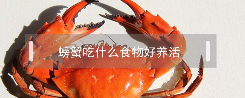 螃蟹吃什么食物好养活（小螃蟹吃什么食物好养活）