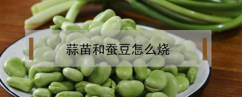 蒜苗和蚕豆怎么烧