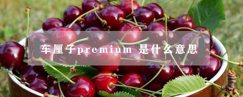 车厘子premium 车厘子premium 是几j