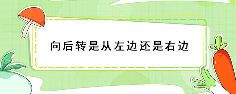 向后转是从左边还是右边（向后转是从左边还是右边视频）