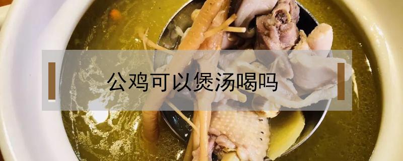 公鸡可以煲汤喝吗 公鸡能煲鸡汤吗