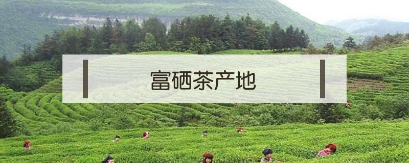 富硒茶产地（富硒茶产地有哪些）