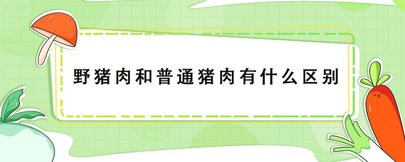 野猪肉和普通猪肉有什么区别 家猪肉和野猪的区别