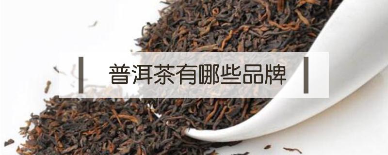 普洱茶有哪些品牌（名牌普洱茶有哪些品牌）