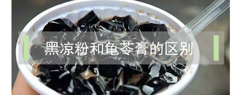 黑凉粉和龟苓膏的区别