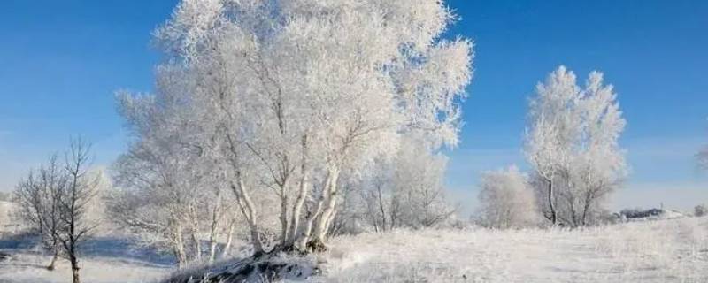 为什么叫三冬 为什么叫三冬雪