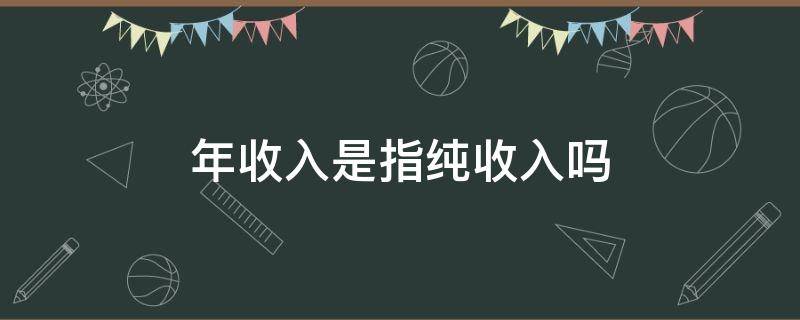 年收入是指纯收入吗 年收入是指纯收入吗?