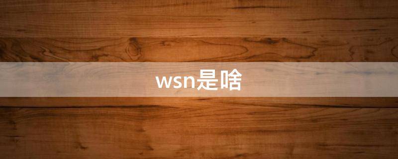 wsn是啥（Wsn是什么）