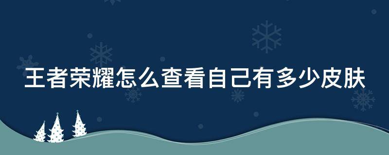 王者荣耀怎么查看自己有多少皮肤 王者荣耀怎么查看自己有多少皮肤碎片