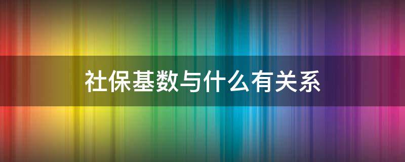 社保基数与什么有关系 社保基数的区别