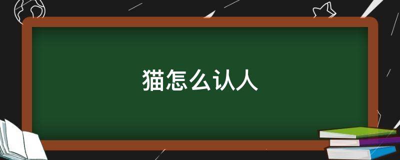 猫怎么认人（猫通过什么方式认人）