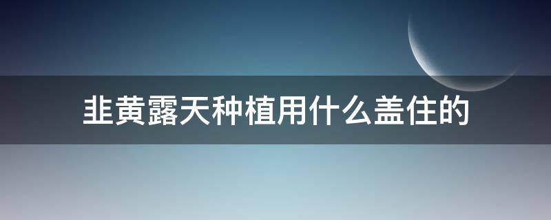 韭黄露天种植用什么盖住的（韭黄遮阳罩种韭黄技术）