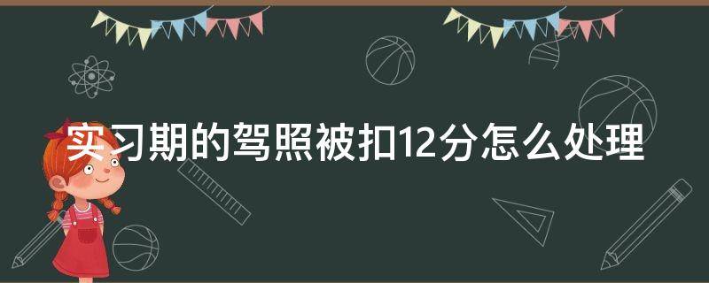 实习期的驾照被扣12分怎么处理