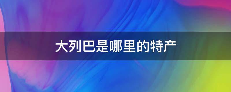 大列巴是哪里的特产（大列巴是什么食物）