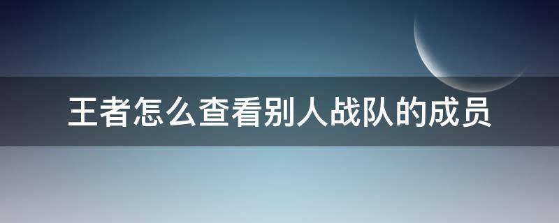 王者怎么查看别人战队的成员 王者荣耀怎么查看别人的战队成员