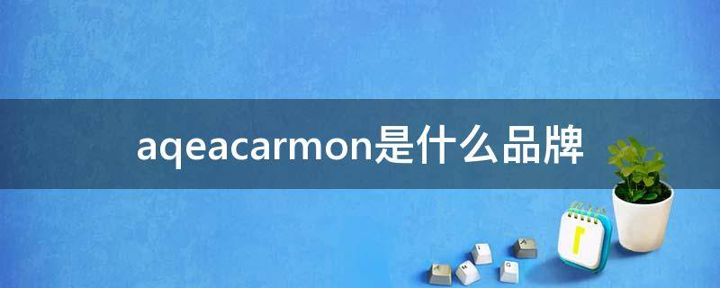 aqeacarmon是什么品牌（aqeacarmon官网旗舰店）