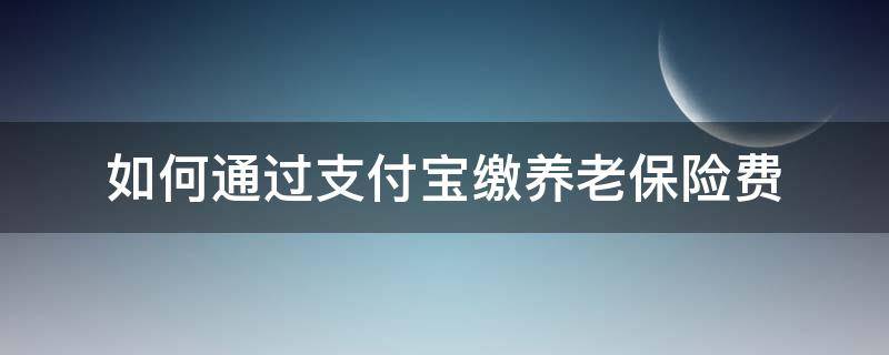 如何通过支付宝缴养老保险费（养老保险怎么在支付宝缴费）