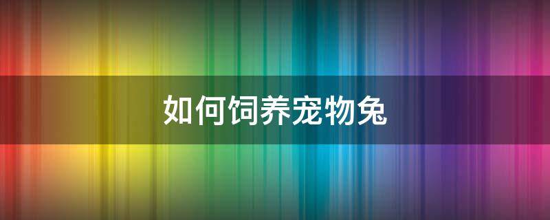 如何饲养宠物兔 怎样饲养宠物兔