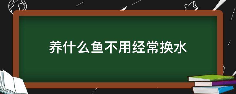 养什么鱼不用经常换水（养鱼为什么要常换水）