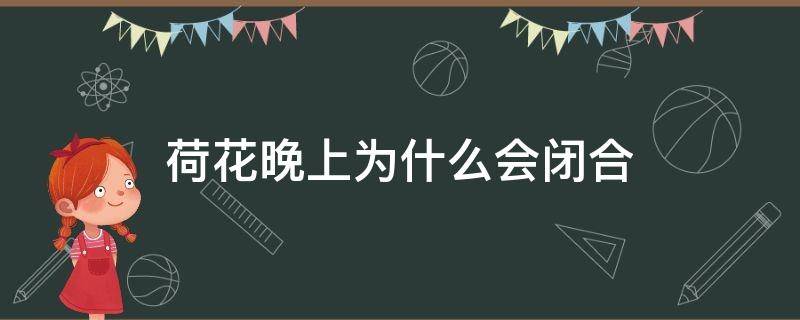 荷花晚上为什么会闭合 荷花晚上会闭合吗